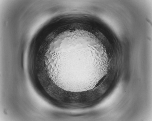 X0000098100191200804181435