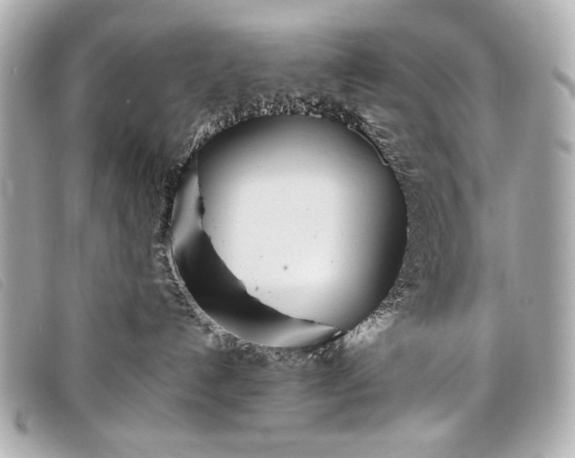X0000098100192200804181435
