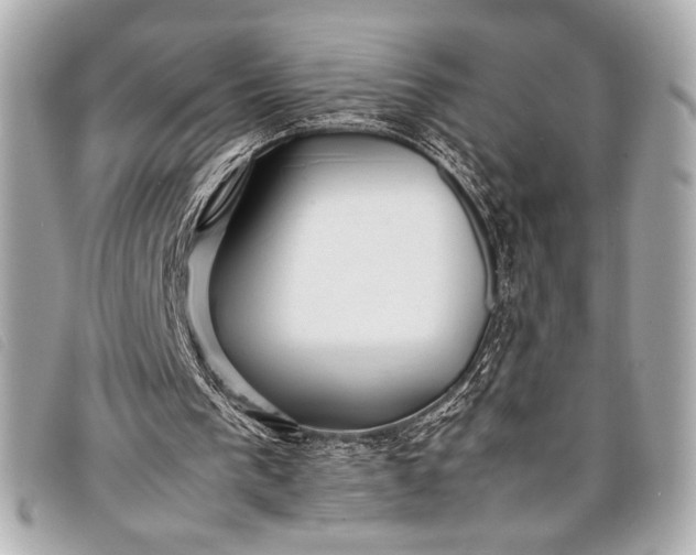 X0000098100193200804181434