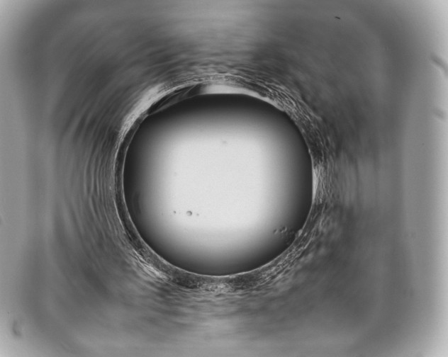 X0000098100195200804181434