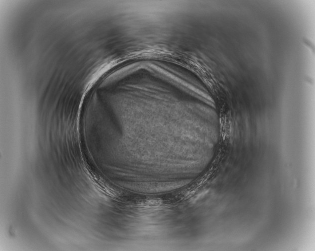 X0000098100196200804181434
