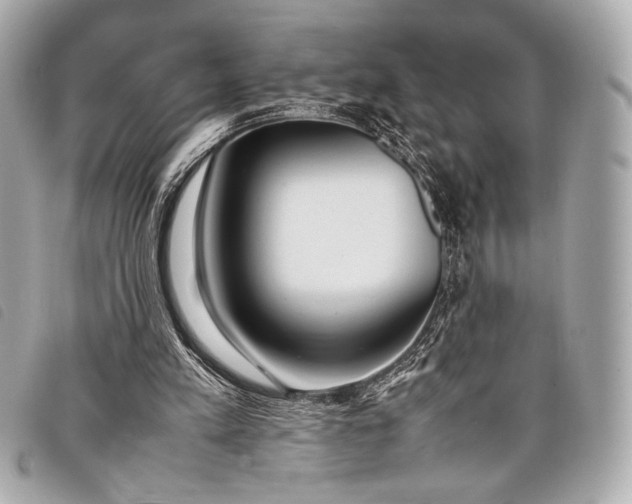 X0000098100197200804181434