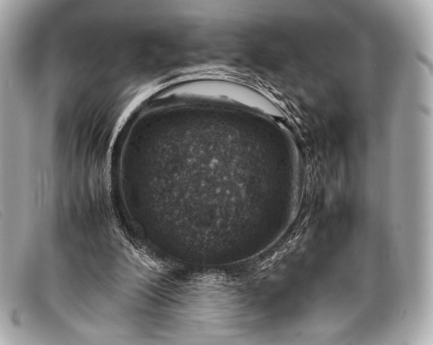 X0000098100200200804181434