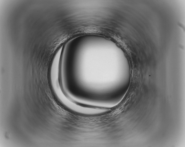 X0000098100201200804181434