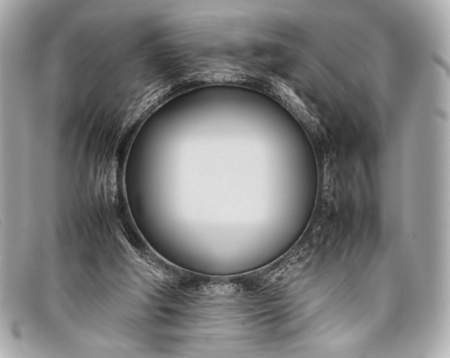 X0000098100202200804181434
