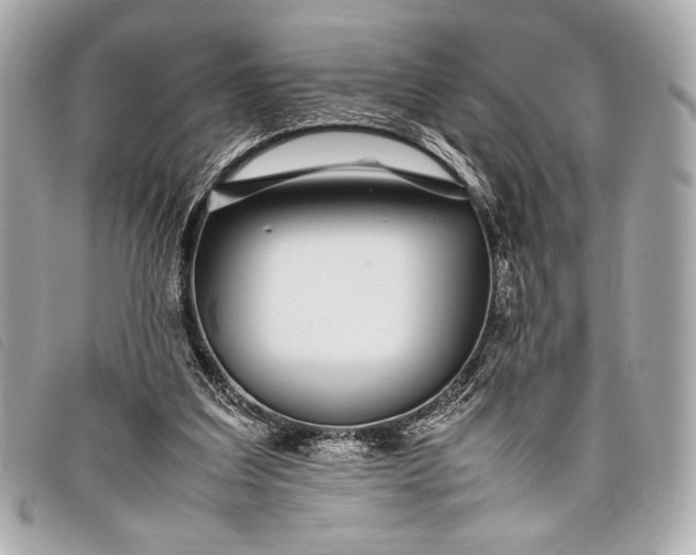 X0000098100203200804181434