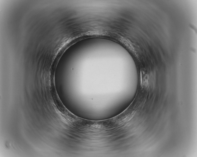 X0000098100204200804181434