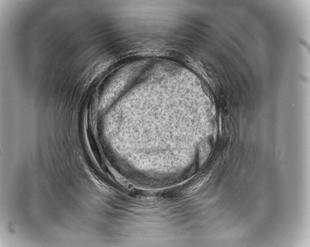 X0000098100205200804181434