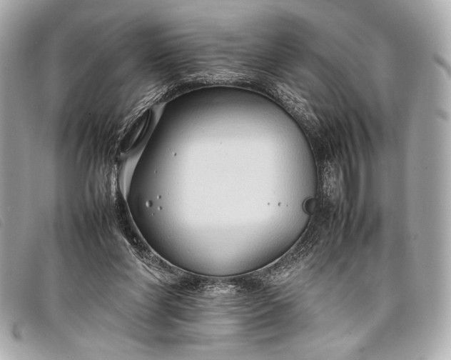 X0000098100206200804181434