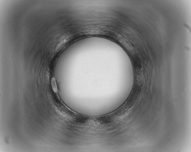X0000098100207200804181433