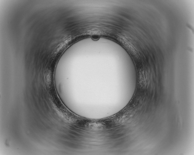X0000098100208200804181433