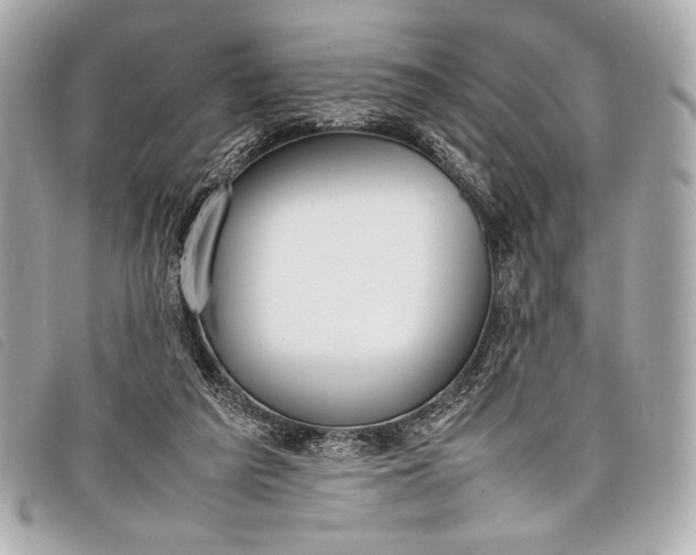 X0000098100209200804181433