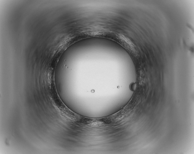 X0000098100210200804181433
