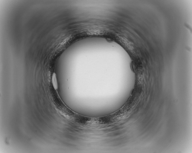 X0000098100211200804181433
