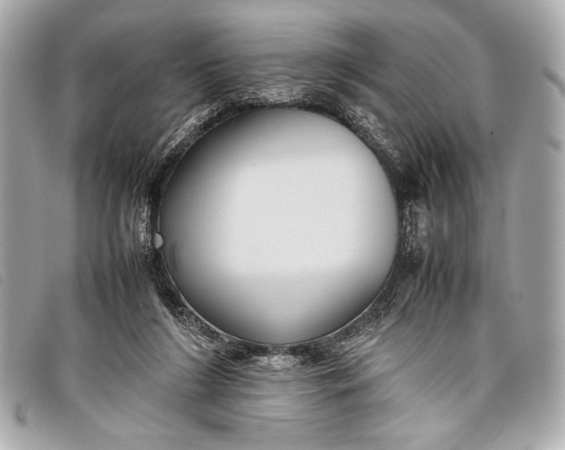 X0000098100212200804181433