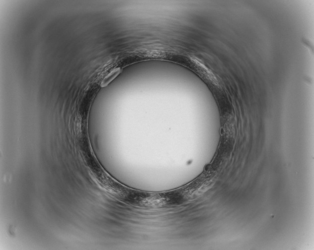 X0000098100213200804181433