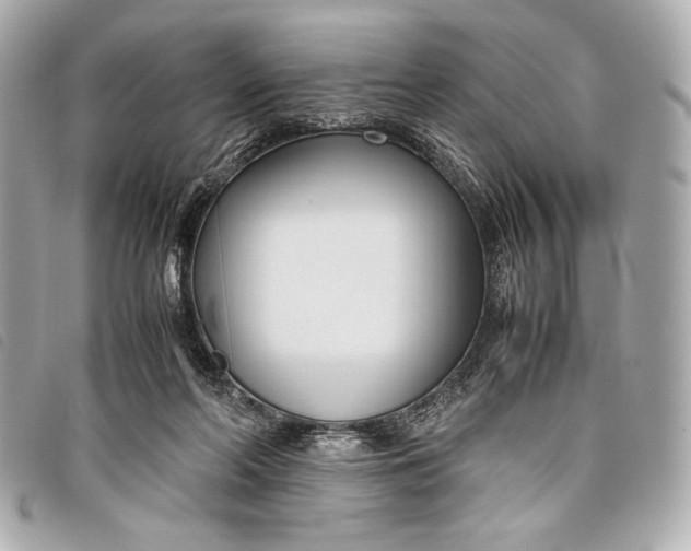 X0000098100214200804181433