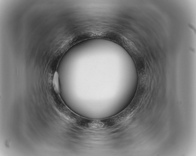 X0000098100215200804181433