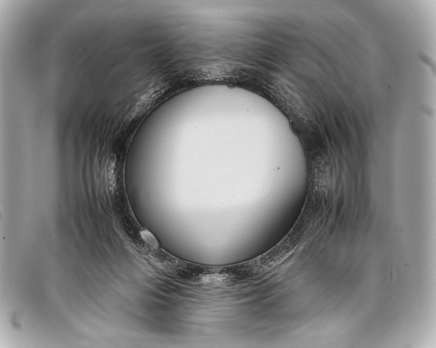 X0000098100216200804181433