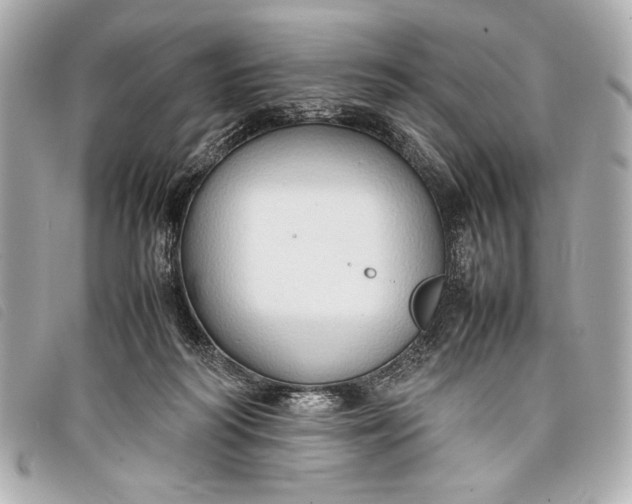 X0000098100218200804181433