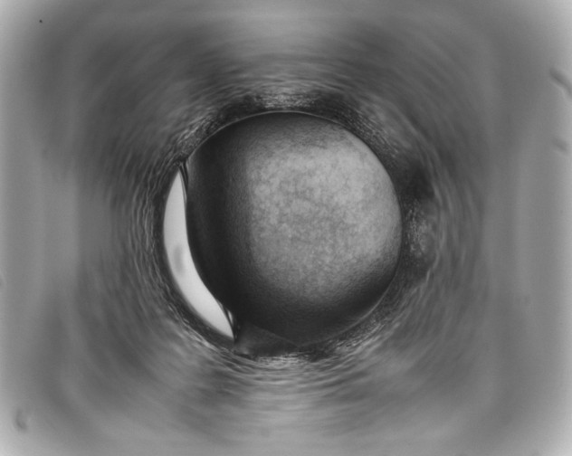 X0000098100219200804181433