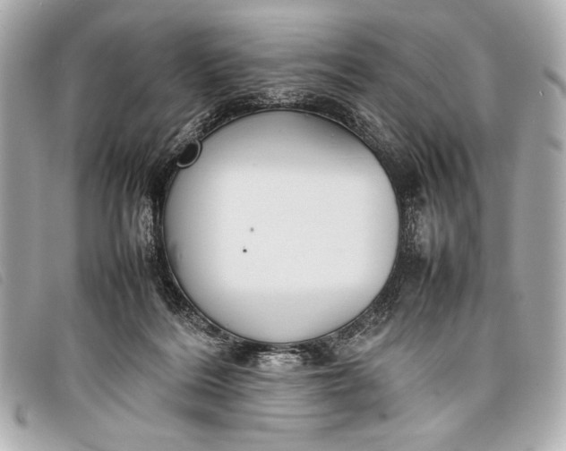 X0000098100220200804181433