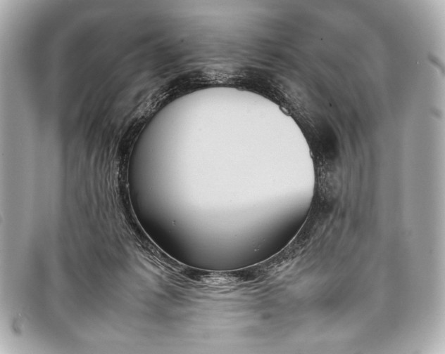 X0000098100221200804181433