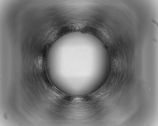 X0000098100222200804181433