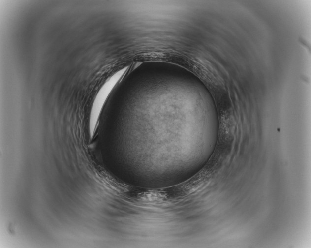 X0000098100223200804181433
