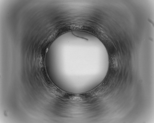X0000098100224200804181433