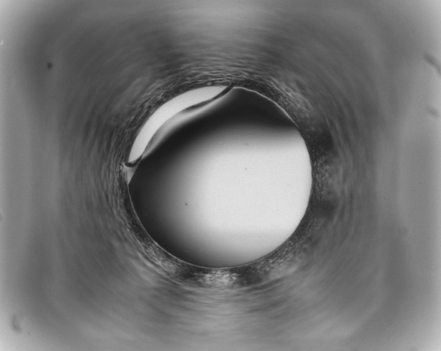 X0000098100225200804181433