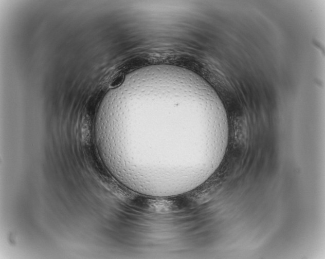 X0000098100226200804181433