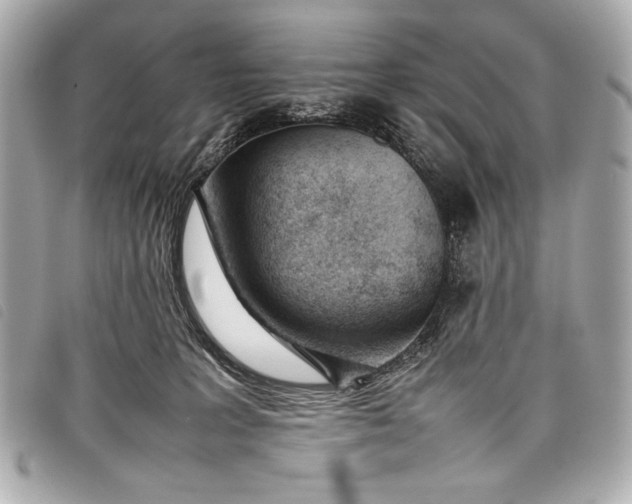 X0000098100227200804181433