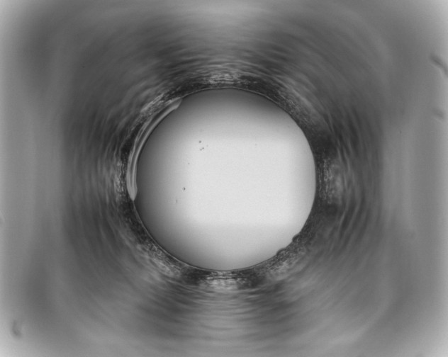 X0000098100228200804181433