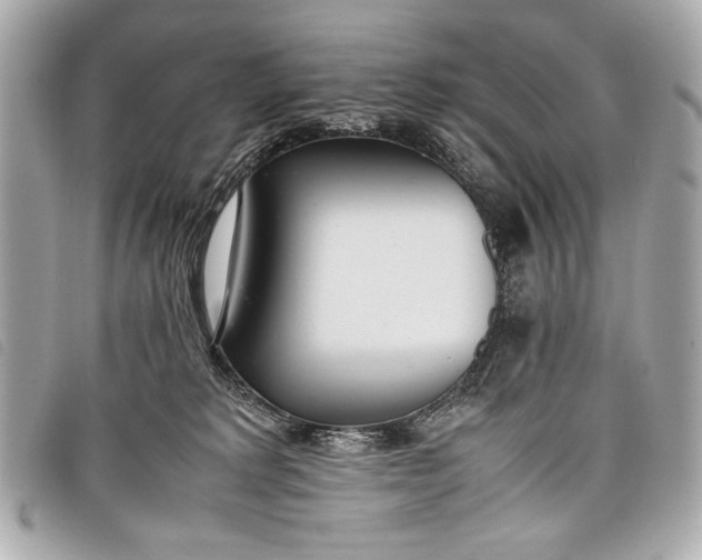 X0000098100229200804181433