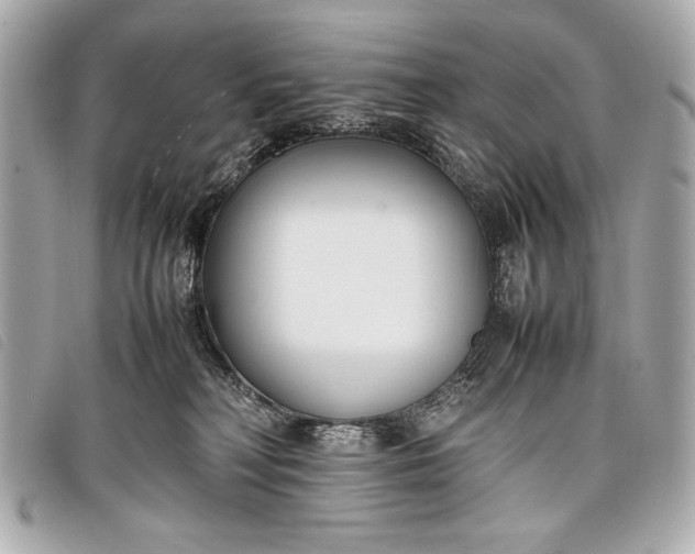 X0000098100230200804181433