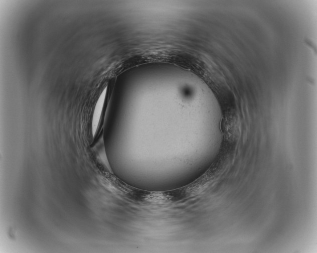 X0000098100231200804181433