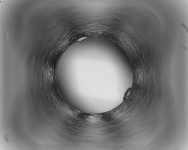 X0000098100232200804181433