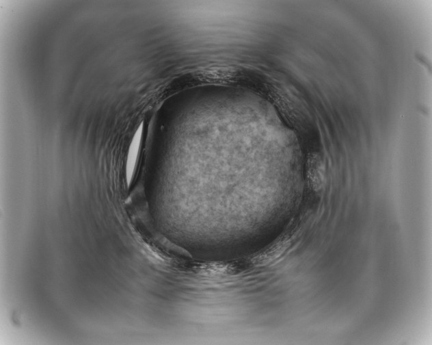X0000098100235200804181433