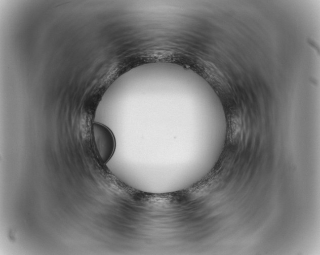 X0000098100236200804181433