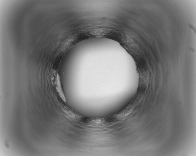 X0000098100237200804181433