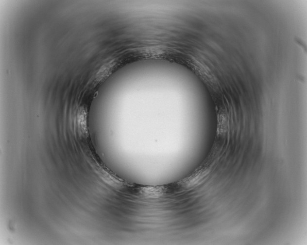 X0000098100238200804181433