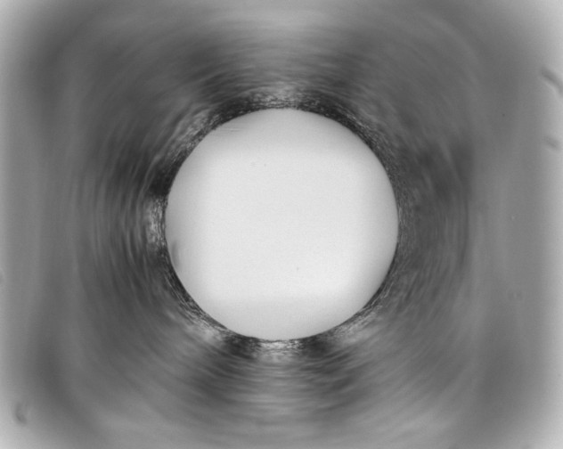 X0000098100240200804181433