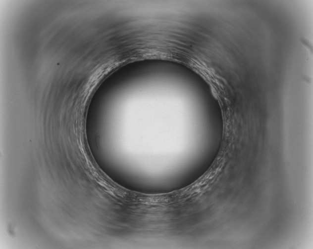 X0000098100241200804181432
