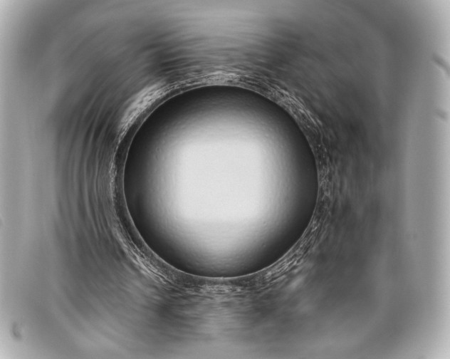 X0000098100242200804181432