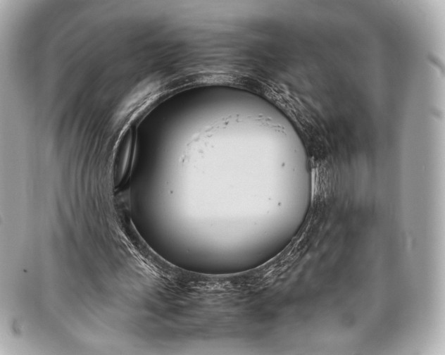 X0000098100243200804181432