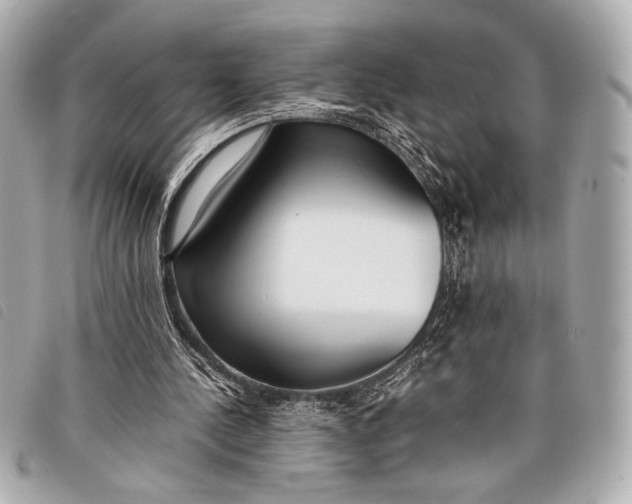 X0000098100244200804181432
