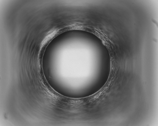 X0000098100245200804181432