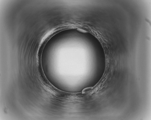 X0000098100246200804181432
