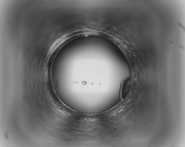 X0000098100247200804181432
